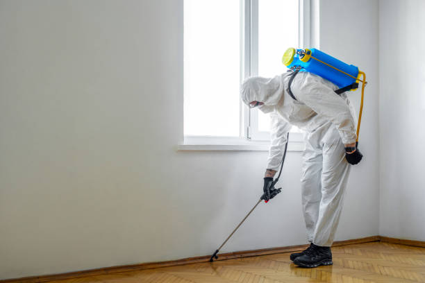 Best Residential Pest Control  in Willacoochee, GA